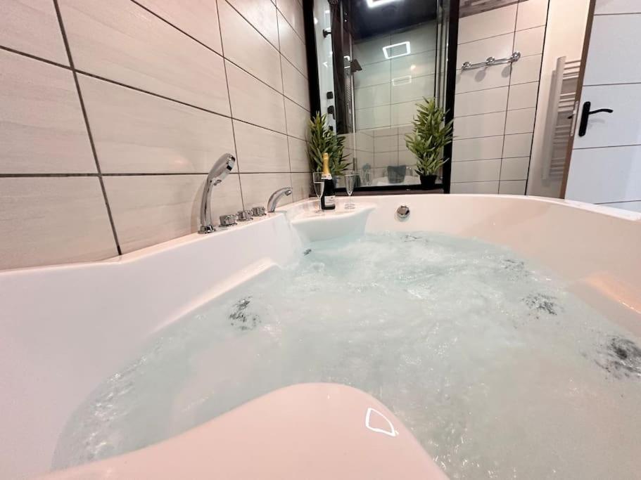 E Servagnat T3 Luxe Avec Sauna Jacuzzi Et Hammam Epernay Exterior photo